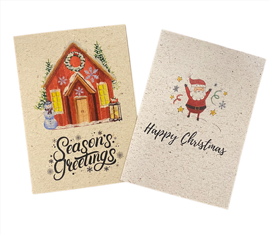 Biodegradable Handmade Paper Holiday/Christmas Greeting Card - 2/pack, Eco-Friendly Product, Plastic-Free