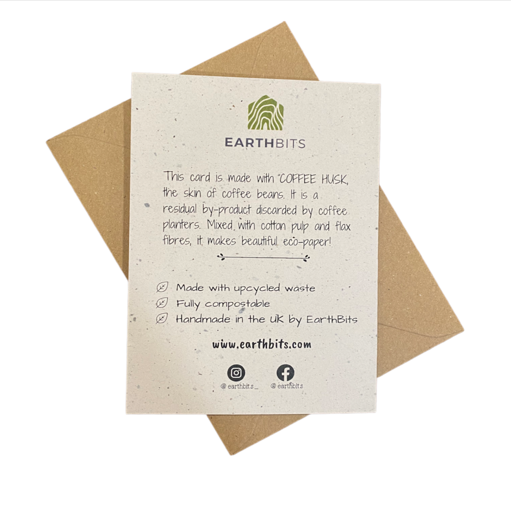 Biodegradable Handmade Paper Birthday Greeting Cards - 2/pack, Eco-Friendly Product, Plastic-Free