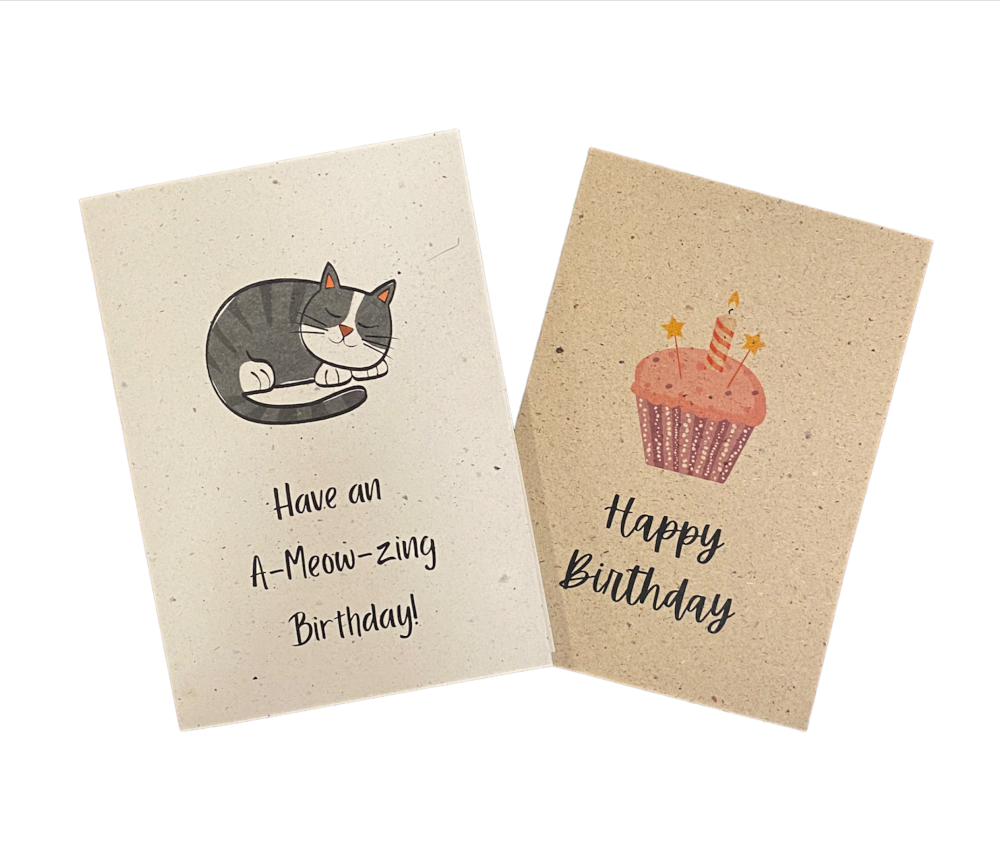 Biodegradable Handmade Paper Birthday Greeting Cards - 2/pack, Eco-Friendly Product, Plastic-Free