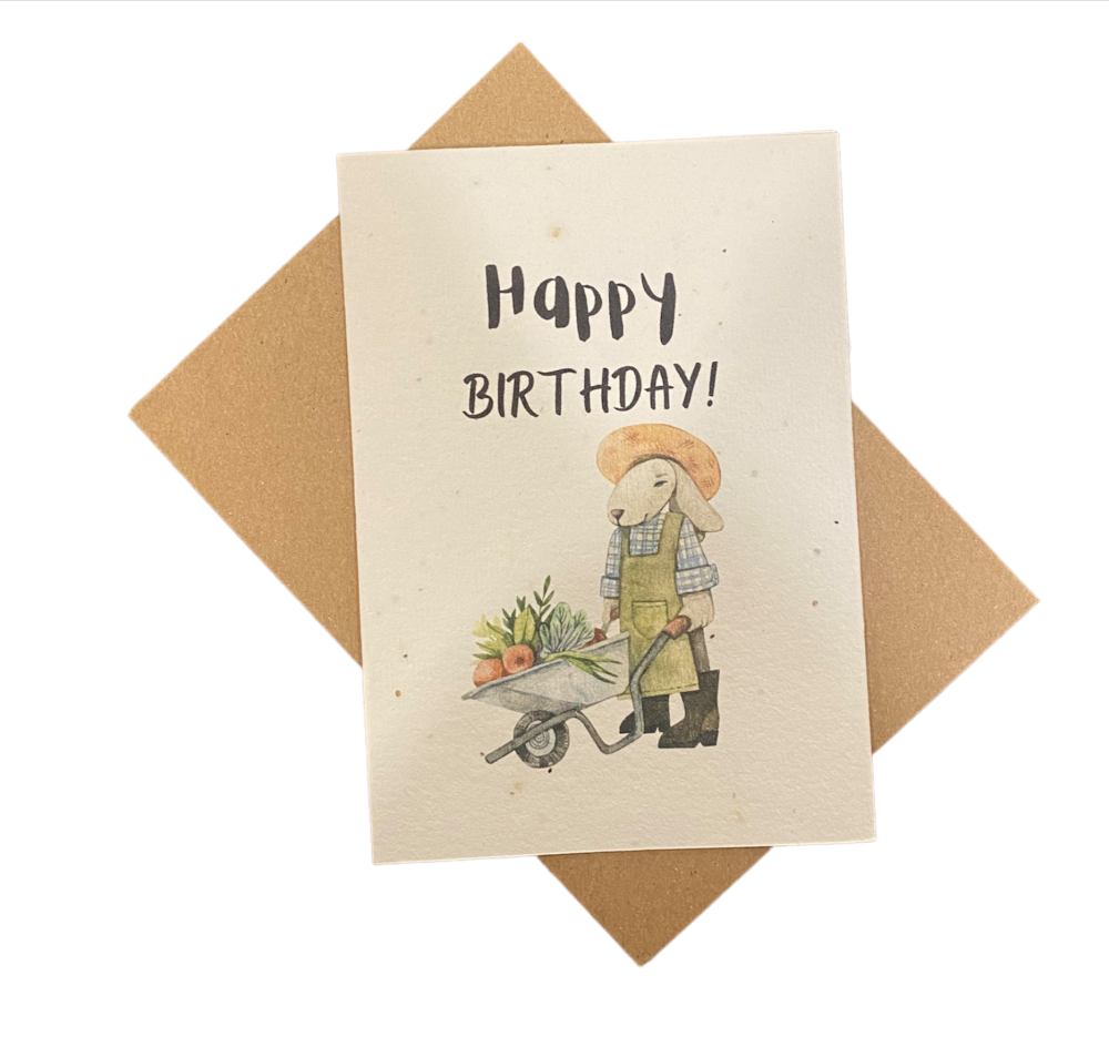 Biodegradable Handmade Paper Birthday Greeting Cards - 3/pack, Eco-Friendly Product, Plastic-Free
