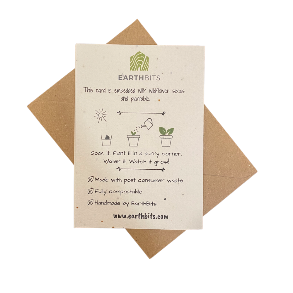 Biodegradable Handmade Paper Birthday Greeting Cards - 3/pack, Eco-Friendly Product, Plastic-Free